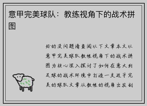 意甲完美球队：教练视角下的战术拼图