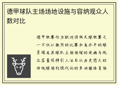 德甲球队主场场地设施与容纳观众人数对比
